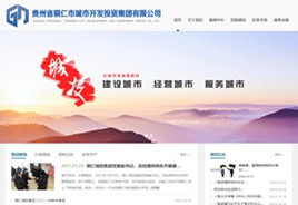 晴隆城市开发投资集团有限公司